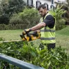 Corta-sebes elétrico DeWALT DCM563P1-QW