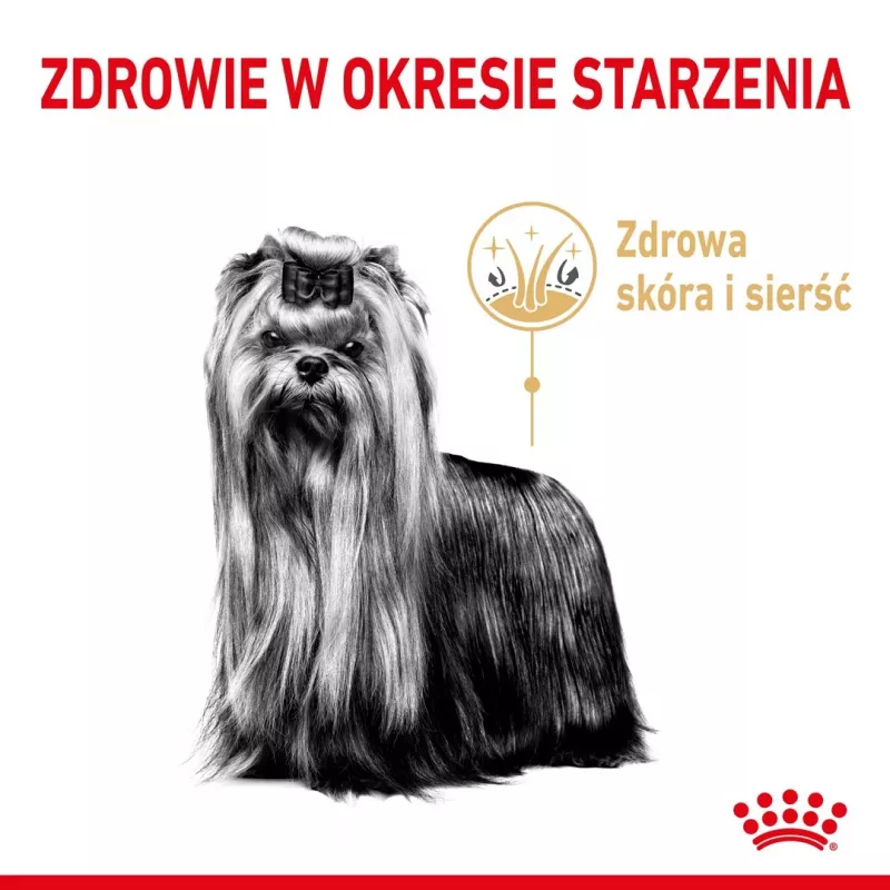 Comida seca para cães Royal Canin Yorkshire Terrier 8+ 3 kg — aves, para yorkshire terriers idosos, proteína 29%, gordura 18%