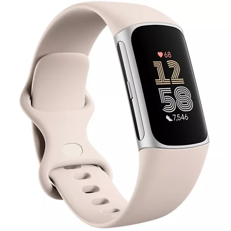 Fitbit GA05185-EU Produto Prateado