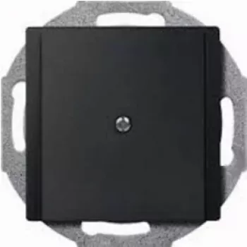 Merten 295614 Placa de parede/Tampa de interruptor antracite (295614)