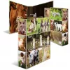 Dossier HERMA 19253 A4 multicolorido cartão 285x315 mm
