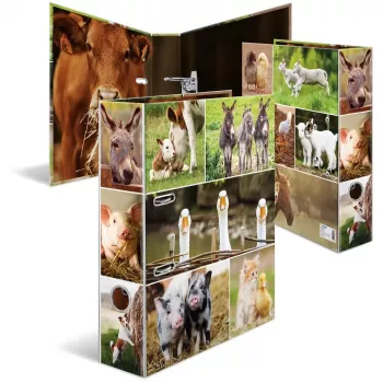 Dossier HERMA 19253 A4 multicolorido cartão 285x315 mm