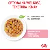 Royal Canin Feline Health Nutrition Kitten Instinctive em geleia ração húmida para gatinhos, 12 x 85 g