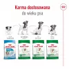 Ração seca para cães Royal Canin Adult Mini S 8 kg — alimento completo para cães adultos de raças pequenas
