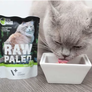 Comida húmida para gatos VETEXPERT RAW PALEO Adult veado 100 g — saco de porção individual sem cereais