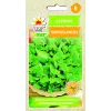 Sementes de hortícolas espinafre da Nova Zelândia Toraf, pacote 5g