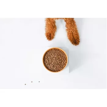 Ração seca para cães nature's protection Superior Care Red Coat Adult raça pequena sem cereais salmão 10 kg