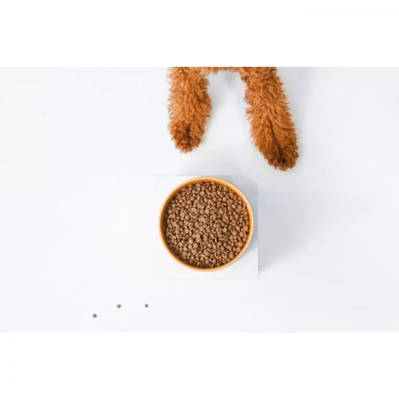 Ração seca para cães nature's protection Superior Care Red Coat Adult raça pequena sem cereais salmão 10 kg