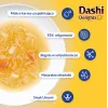 INABA CAT Dashi Delights caldo sedoso de frango com salmão – snack para gatos – 40 g