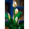 LEGO BOTANICALS 11504 Lírio da Paz