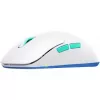 Rato gaming CHERRY XTRFY M8