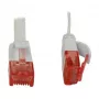 Cabo de rede Synergy 21 S216170V2 0,25 m Cat6 U/UTP (UTP) branco (S216170V2)