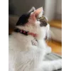 Coleira para gato ZOLUX Chatouille rosa