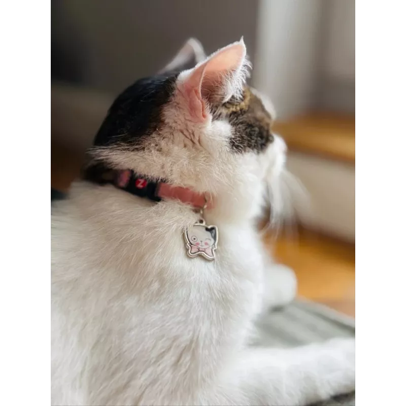 Coleira para gato ZOLUX Chatouille rosa