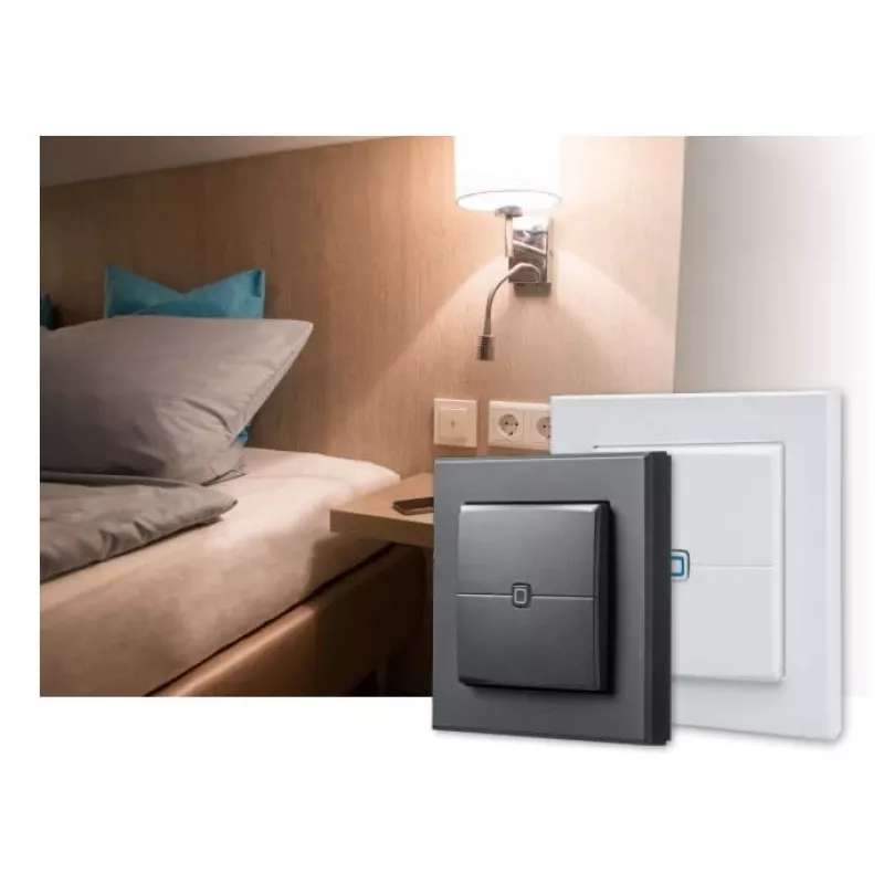 eQ-3 AG Homematic IP HmIP-WRC2-A-2, sem fios, RF sem fios, antracite, parede, 868-868,6 / 869,4-869,65 MHz, botões