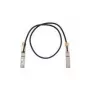 Cisco QSFP-100G-CU1M= cabo InfiniBand/fibra ótica 1 m
