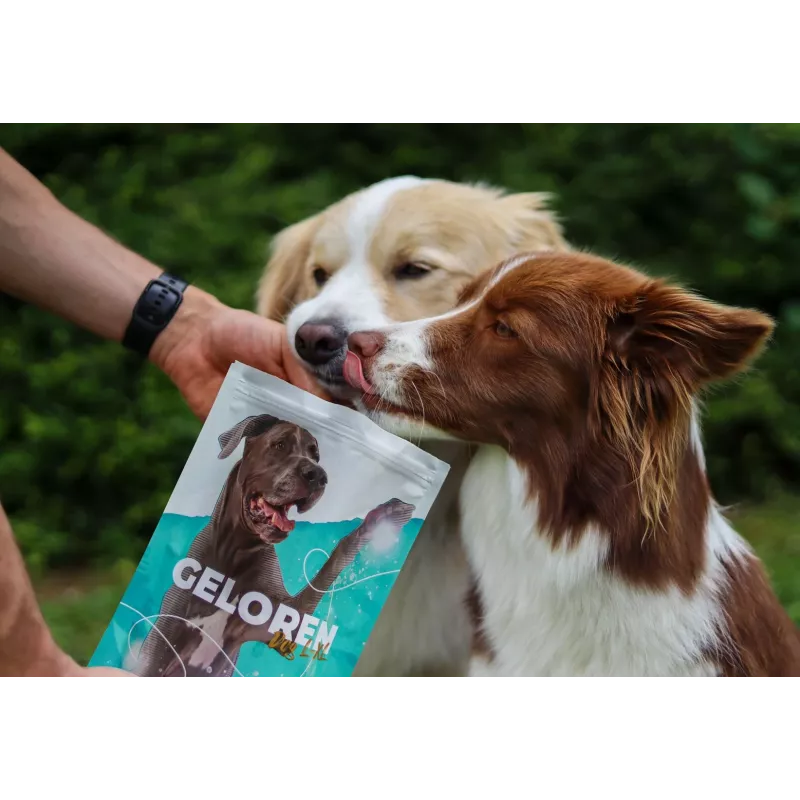 GELOREN Large dog Joints - vitaminas para cães - 420g