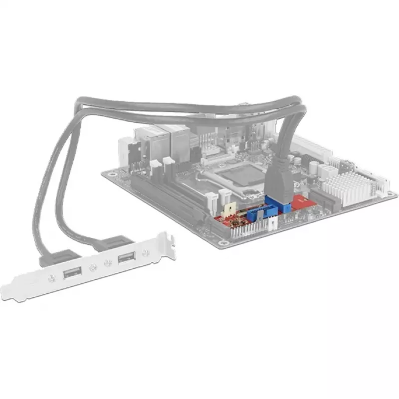 Delock Conversor M.2 Key B+M Macho > 2 x USB 3.0 Barra de pinos - Adaptador USB - Placa M.2 - USB 3.0 (interno) x 2 (62843)