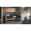 Móvel RTV Cama PORTO 2D 150x38x50 carvalho/preto