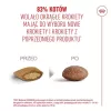 Comida seca para gatos Royal Canin FHN Ageing 11+ 4 kg — alimento completo para gatos idosos, aves, 30% proteína