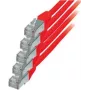 Cabo de rede S/CONN Vermelho Cat6 S/FTP 0,5m
