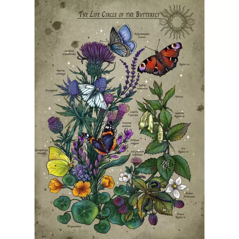 Puzzle Ravensburger Circle of Life Butterfly 1000 peças