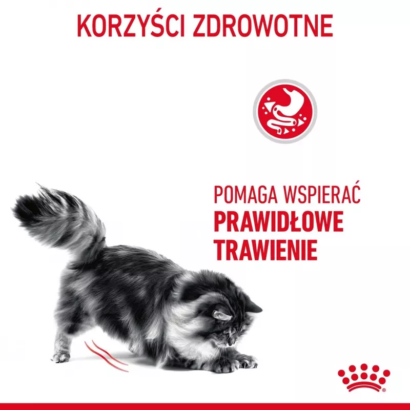 Ração seca para gatos Royal Canin Digestive Care 4 kg — gatos adultos, aves, auxilia a digestão
