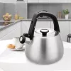 Chaleira Maestro MR-1318 de 2,5 l, prateado, preto