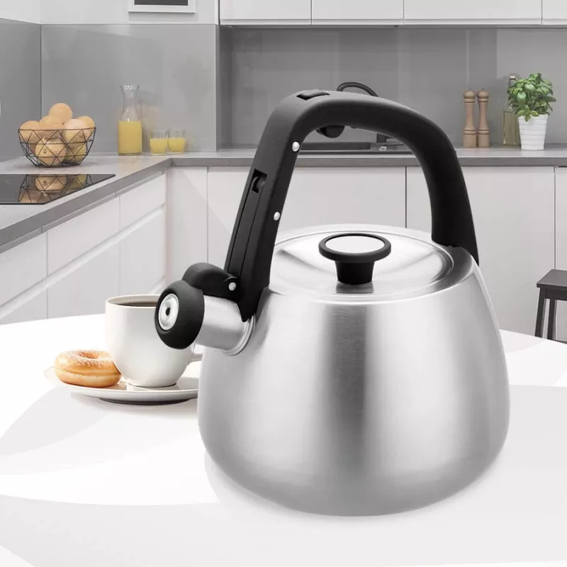 Chaleira Maestro MR-1318 de 2,5 l, prateado, preto