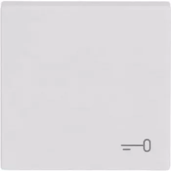 BJ 2520 TR-84 tecla com impressão branco estúdio solo tampa (2CKA001751A3199)