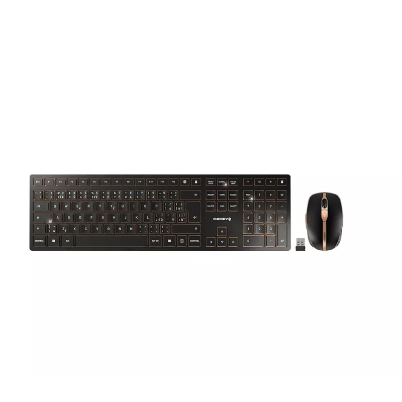 CHERRY DW 9100 SLIM teclado e rato incluídos universal RF sem fios + Bluetooth checo, eslovaco preto
