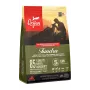 ORIJEN Tundra – comida seca para cães – 2 kg