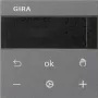 Gira RTR Visor antracite 539328 (539328)