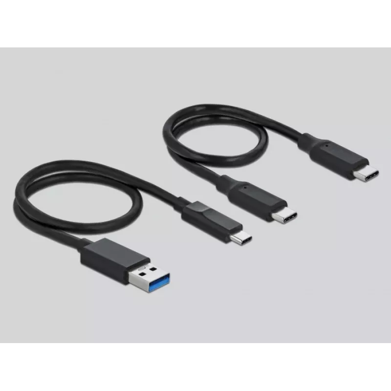 Leitor de cartões DeLOCK USB Type-C para CFast SD + hub USB