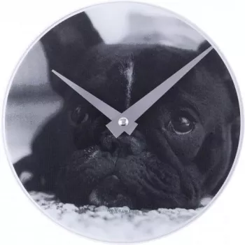 Relógio de parede NeXtime 5173 Little Dog, Ø20 cm, preto