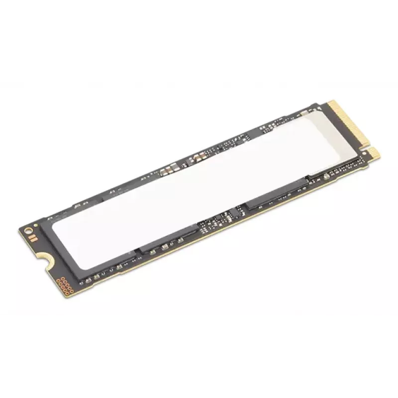 Disco sólido interno Lenovo 4XB1S30112 1 TB M.2 PCI Express 5.0 NVMe
