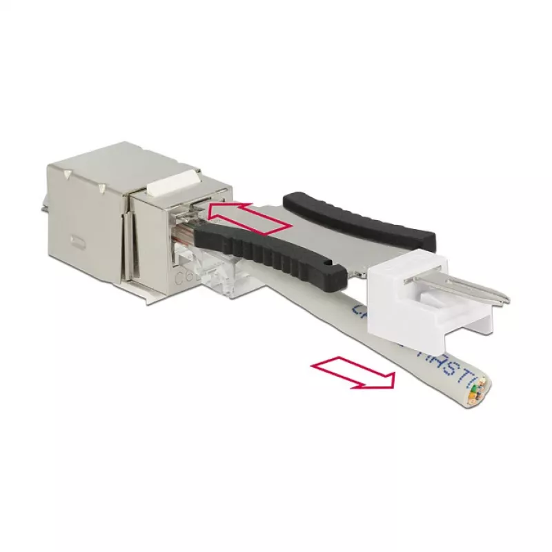 Delock 86404 módulo Keystone RJ45 Secure Cat.6 para LSA, branco