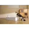 Caixa de areia autolimpante para gatos PETKIT T7-EU, branco