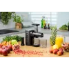 Zelmer ZJP3900 EasyJuice extrator de sumo, 150 W, 500 ml, 2 velocidades, preto