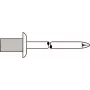 Rebite cego GESIPA 4×8,0 mm Al/A2 CAP Standard, 500 unid.