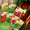 Conjunto de sementes Toraf Summer Flavors - 7 embalagens