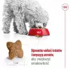 ROYAL CANIN Adult Mini S - Ração seca para cães - 2 kg