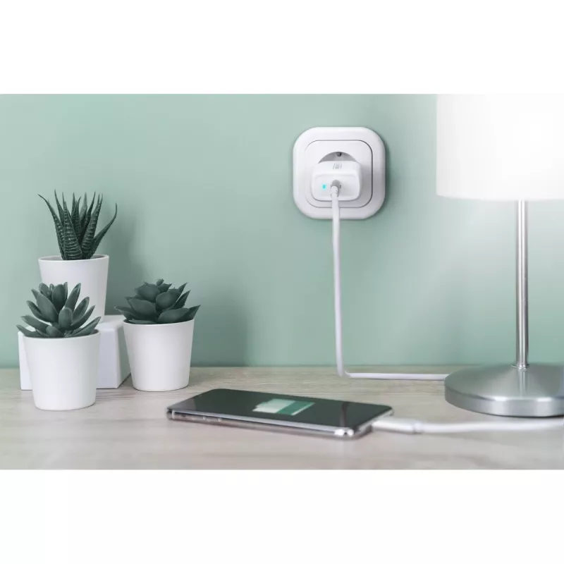Digitus - Fonte de alimentação - 20 Watt - 3 A - PD 3.0 (USB-C) - branco (DA-10196)