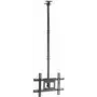 Vision Techmount VFM-C6X4/V2 - conjunto de montagem (suporte de teto) para ecrã LCD (extensível) - aço - preto - tamanho do ecrã: 94-190,5 cm (37-75 polegadas)