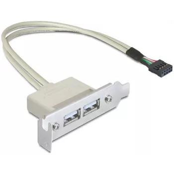 Chapa de slot USB 2.0 DeLOCK 0,5 m