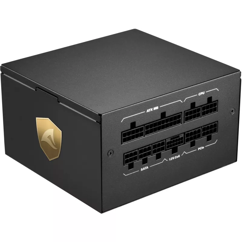 Fonte de alimentação Sharkoon Rebel P20 1000 W 24-pin ATX ATX Preto