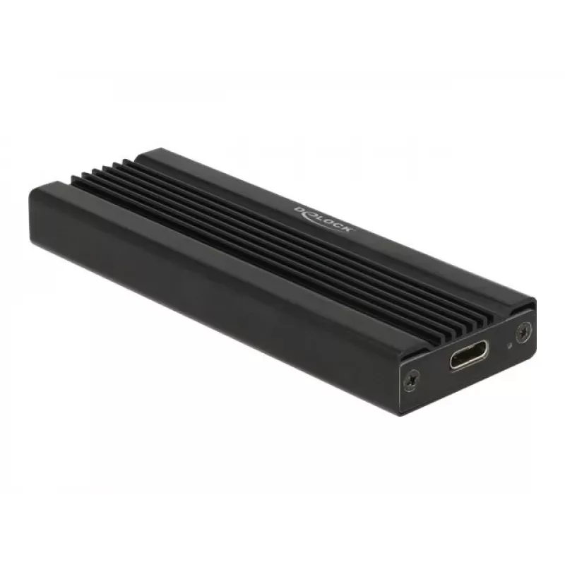 Placa de interface DeLOCK 42600 USB 3.2 Gen 1