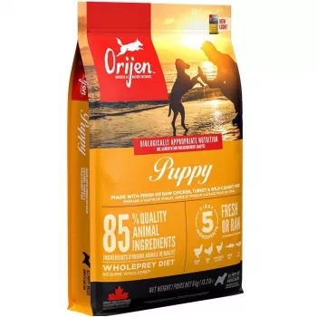 ORIJEN Puppy - comida seca para cães - 6 kg