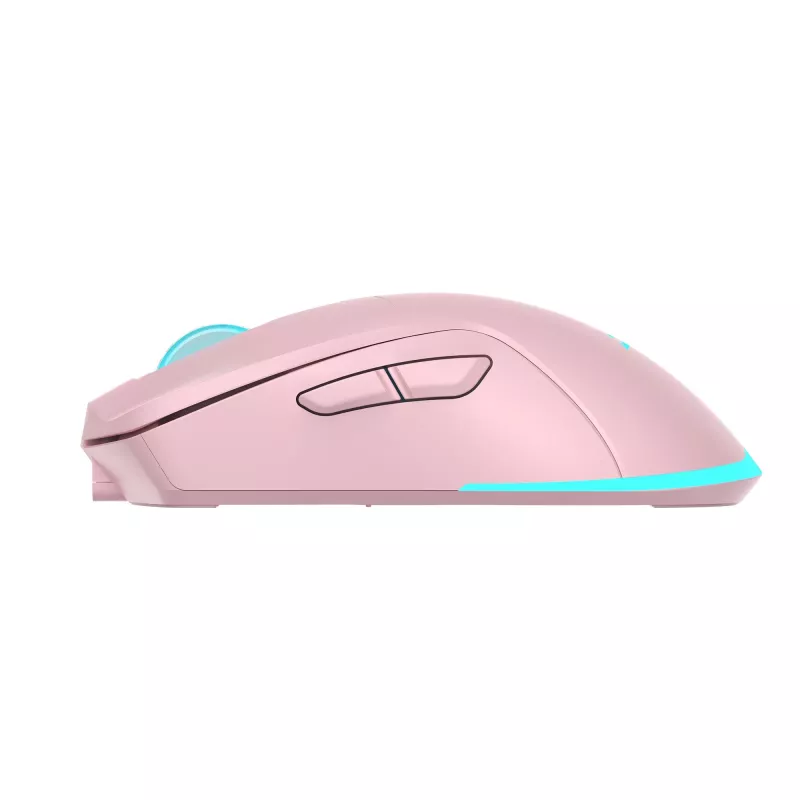 Rato Baracuda BGM-124 Turtle rosa TURTLE-P