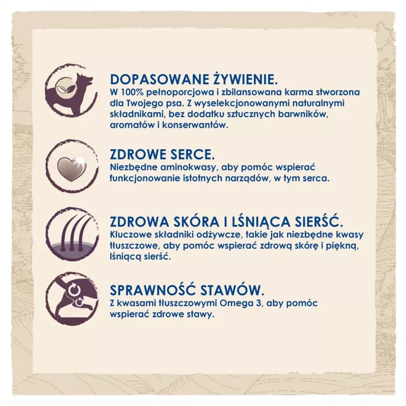 Purina Dog Chow Mature Senior alimento seco para cães com borrego, 14 kg